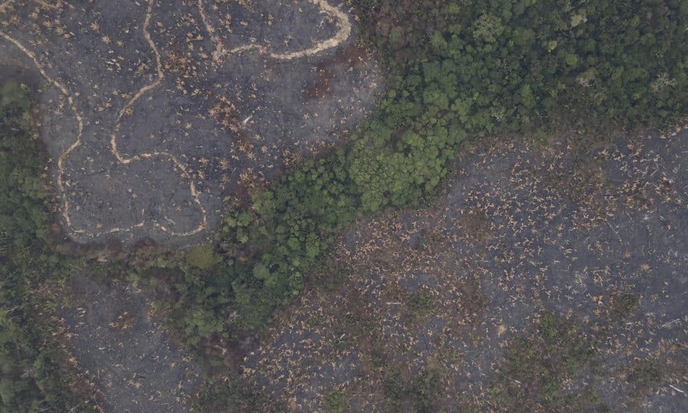 Fotografía aérea que muestra una zona quemada en el Parque Estatal Guajará-Mirím en la ciudad de Nova Mamoré (Brasil), en una imagen de archivo. EFE/ Isaac Fontana