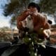 Imagen de archivo de una mujer palestina que recoge aceitunas en un campo. EFE/Atef Safadi