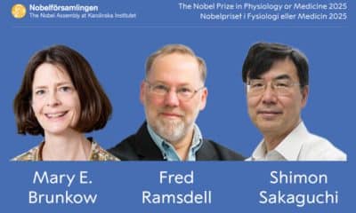 El Premio Nobel de Medicina o Fisiología 2025 es para Mary E. Brunkow, Fred Ramsdell y Shimon Sakaguchi "por sus descubrimientos relacionados con la tolerancia inmunológica periférica", informó este lunes la Asamblea Nobel del Instituto Karolinska de Estocolmo. EFE/Asamblea Nobel del Instituto Karolinska de Estocolmo - SOLO USO EDITORIAL/SOLO DISPONIBLE PARA ILUSTRAR LA NOTICIA QUE ACOMPAÑA (CRÉDITO OBLIGATORIO) -