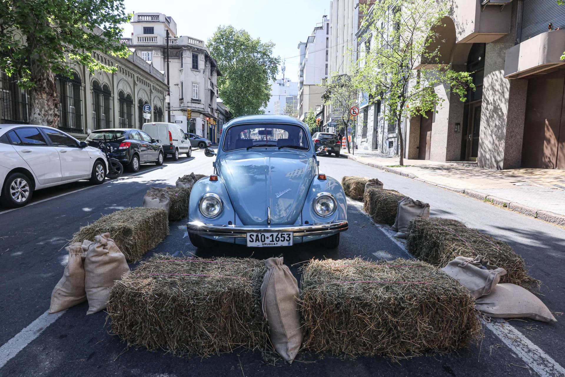 Fotografía del vehículo en el que se transportaba el expresidente fallecido Jose Pepe Mujica, un Volkswagen escarabajo 'Fusca' exhibido en una calle este sábado, en Montevideo (Uruguay). EFE /Gastón Britos