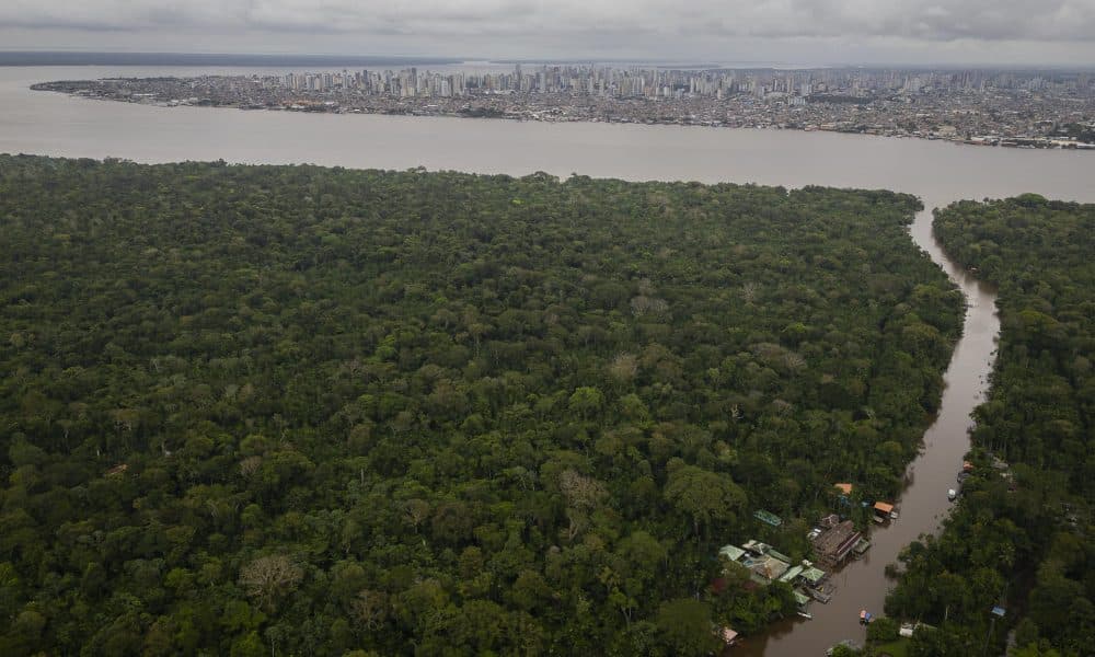 Fotografía aérea de archivo en donde se ve la Amazonía brasileña, cerca a la región en donde está ubicada la ciudad de Belém (Brasil). EFE/ Isaac Fontana