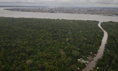 Fotografía aérea de archivo en donde se ve la Amazonía brasileña, cerca a la región en donde está ubicada la ciudad de Belém (Brasil). EFE/ Isaac Fontana