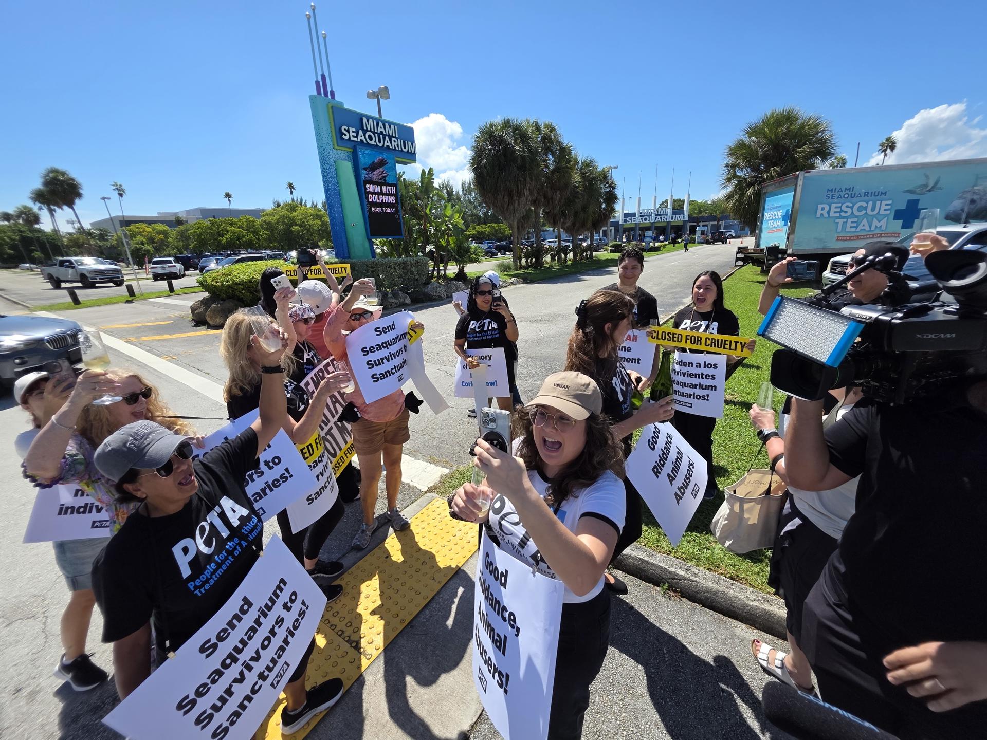 Activistas de la organización Personas por el Trato Ético de los Animales (PETA) celebran la decisión del cierre del Miami Seaquarium el 12 de octubre de 2025, en Miami (Estados Unidos). EFE/Alberto Boal