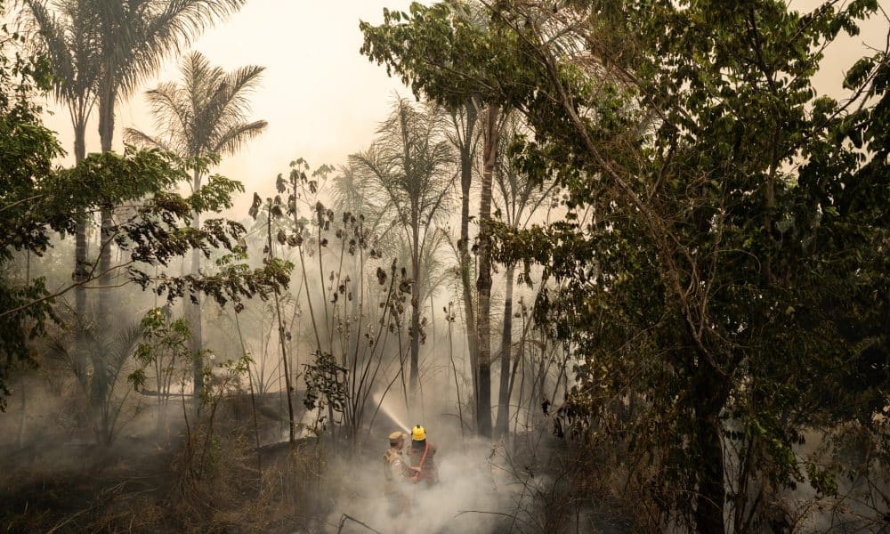 Un bombero trabaja para contener un incendio en una zona verde en Manaos, Amazonas (Brasil), en una imagen de archivo. EFE/ Raphael Alves