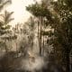Un bombero trabaja para contener un incendio en una zona verde en Manaos, Amazonas (Brasil), en una imagen de archivo. EFE/ Raphael Alves