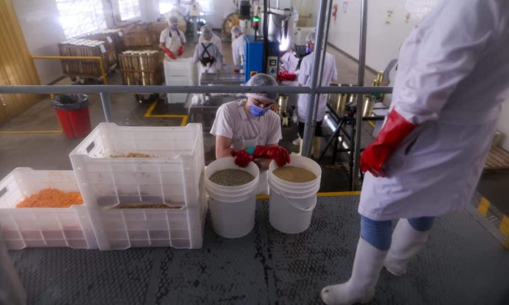 Fotografía del 7 de agosto de 2025 de un grupo de personas trabajando en una fábrica en Buenos Aires (Argentina). EFE/ Juan Ignacio Roncoroni