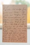 El centro de documentación dedicado al filósofo y escritor alemán Friedrich Nietzsche de la ciudad de Naumburgo (este de Alemania), ha adquirido por 15.000 euros una carta desconocida del pensador a su admirador Otto Busse, que fue encontrada por los responsables de esa institución recientemente en Berlín. EFE/Centro de Documentación Nietzsche de Naumburgo/SOLO USO EDITORIAL/SOLO DISPONIBLE PARA ILUSTRAR LA NOTICIA QUE ACOMPAÑA (CRÉDITO OBLIGATORIO)