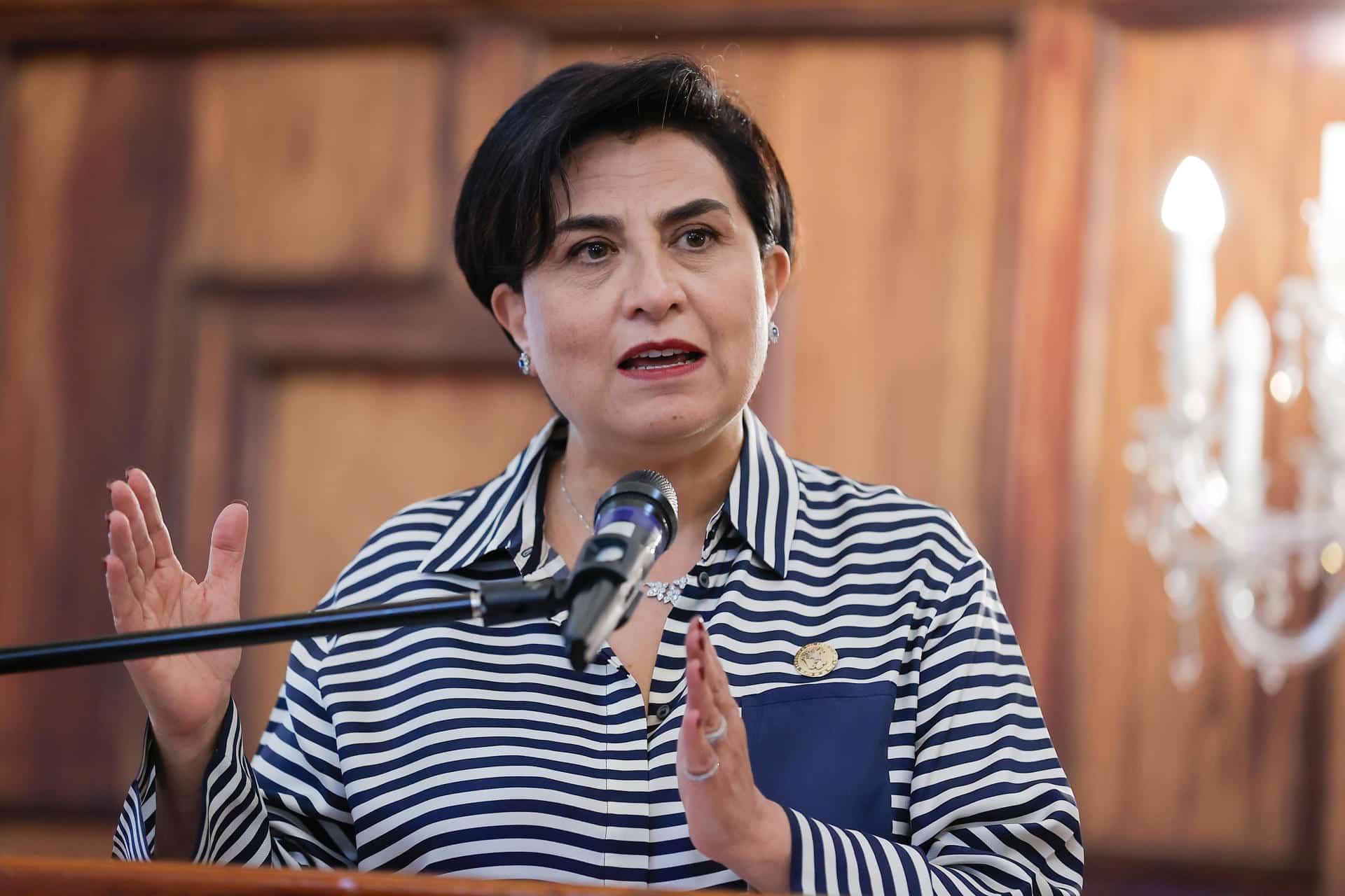 La canciller de Ecuador, Gabriela Sommerfeld, habla durante una rueda de prensa este lunes, en Quito (Ecuador). EFE/ José Jácome