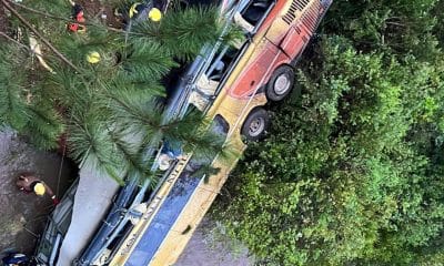 Dos personas fallecieron y varias resultaron heridas en la madrugada de este domingo cuando el ómnibus en el que viajaban cayó desde un puente a un arroyo en la provincia argentina de Misiones, en el noreste del país. EFE/Policía de Misiones