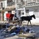 Una persona se transporta en una carreta frente a escombros y basura este viernes, en Cárdenas (Cuba). EFE/ Ernesto Mastrascusa
