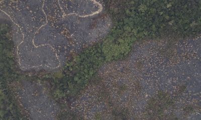 Fotografía aérea que muestra una zona quemada en el Parque Estatal Guajará-Mirím el 11 de septiembre de 2024 en la ciudad de Nova Mamoré (Brasil). EFE/ Isaac Fontana/Archivo