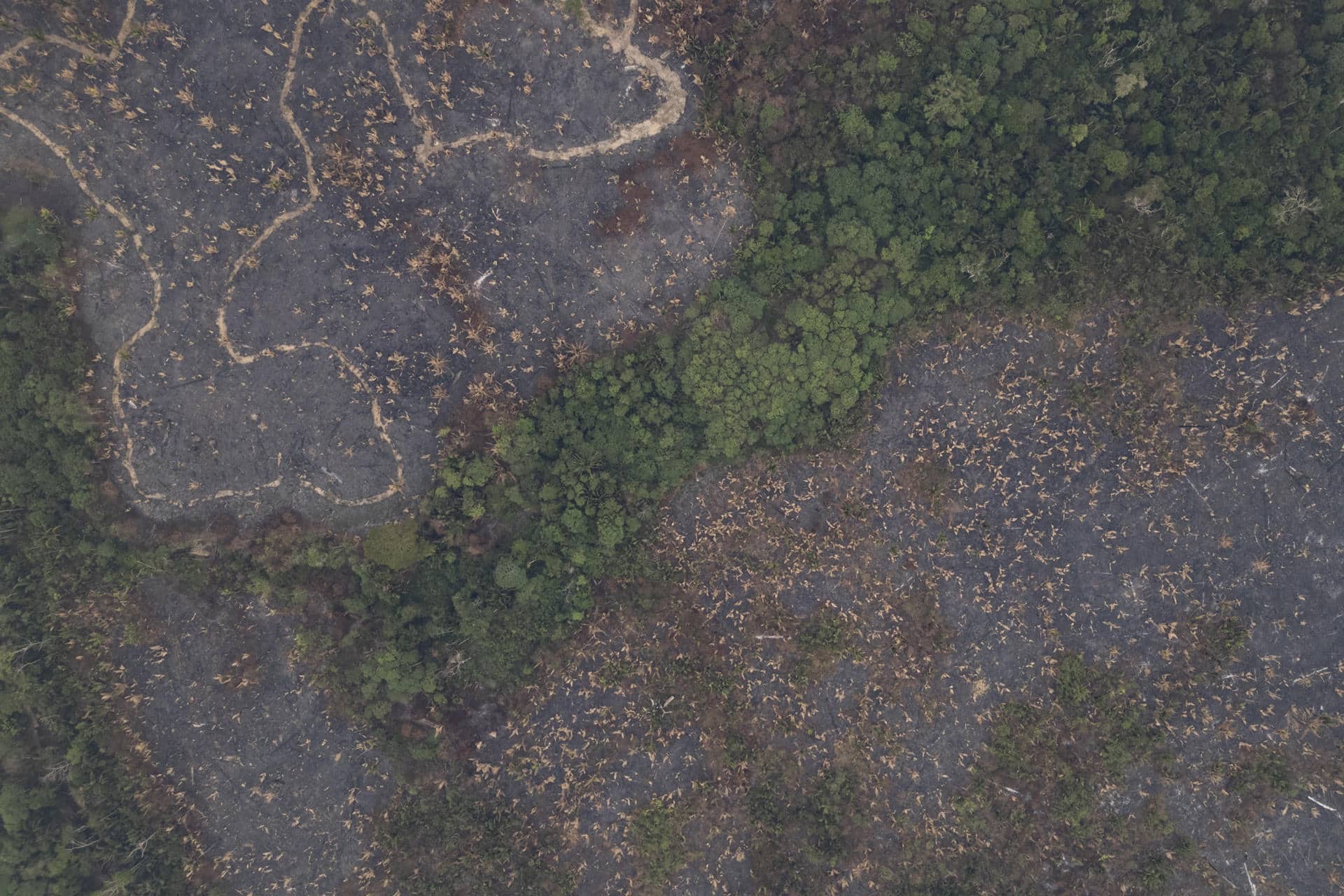 Fotografía aérea que muestra una zona quemada en el Parque Estatal Guajará-Mirím el 11 de septiembre de 2024 en la ciudad de Nova Mamoré (Brasil). EFE/ Isaac Fontana/Archivo