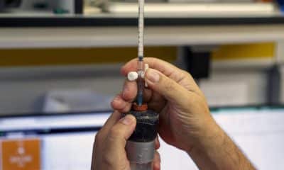 Imagen de archivo de un investigador en un laboratorio. EFE/JJ Guillén