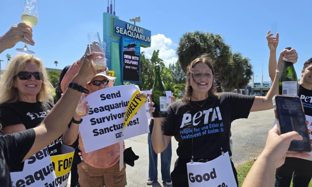 Activistas de la organización Personas por el Trato Ético de los Animales (PETA) sostienen carteles este en Miami (Estados Unidos). EFE/ Alberto Boal