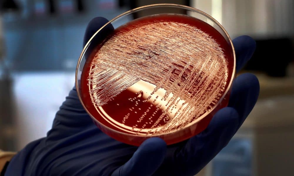 Fotografía de archivo. EFE/Chema Moya