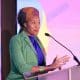 La directora regional de la Federación Internacional de Sociedades de la Cruz Roja y de la Media Luna Roja (IFRC), Loyce Pace, habla durante la apertura del II Foro Regional 'Voces desde el Terreno: Mujeres en la Acción Humanitaria' este lunes, en Ciudad de Panamá (Panamá). EFE/ Bienvenido Velasco
