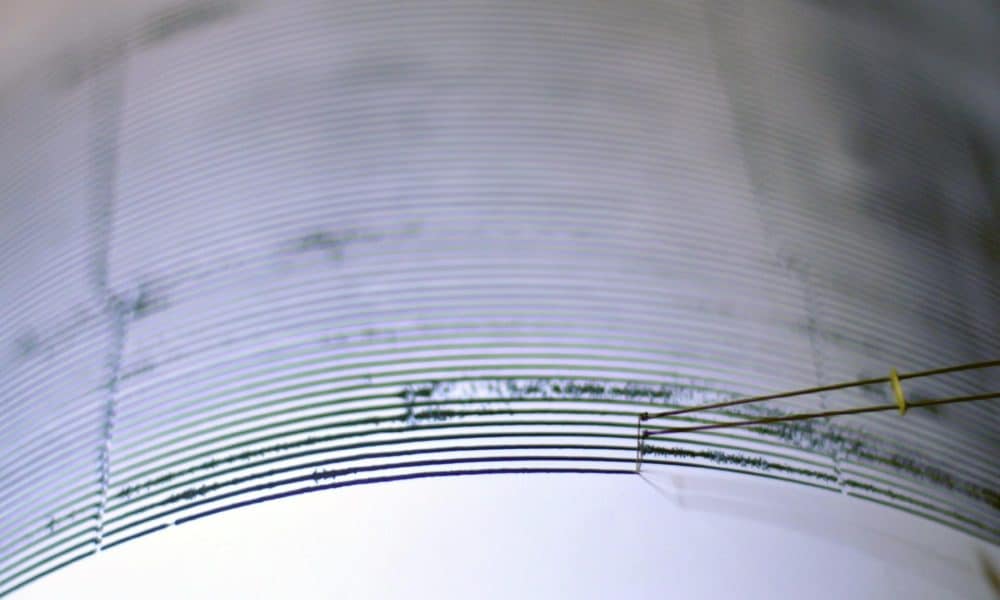Imagen de archivo de un sismógrafo registrando un terremoto. EFE/Ulises Rodríguez
