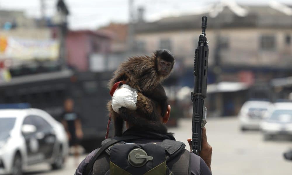 Fotografía que muestra un mono sobre la cabeza de un integrante de la Policía de Río de Janeiro durante un operativo este martes, en Río de Janeiro (Brasil). Al menos veinte personas murieron y medio centenar fueron detenidas en medio de una gran operación policial contra el Comando Vermelho, una de las más poderosas bandas del crimen organizado de Río de Janeiro.EFE/ Antonio Lacerda