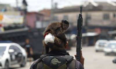 Fotografía que muestra un mono sobre la cabeza de un integrante de la Policía de Río de Janeiro durante un operativo este martes, en Río de Janeiro (Brasil). Al menos veinte personas murieron y medio centenar fueron detenidas en medio de una gran operación policial contra el Comando Vermelho, una de las más poderosas bandas del crimen organizado de Río de Janeiro.EFE/ Antonio Lacerda