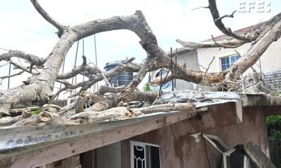 Fotografía de los daños provocados por el paso del huracán Melissa este miércoles, en la Parroquia de Saint Ann (Jamaica). EFE/ Rudolph Brown