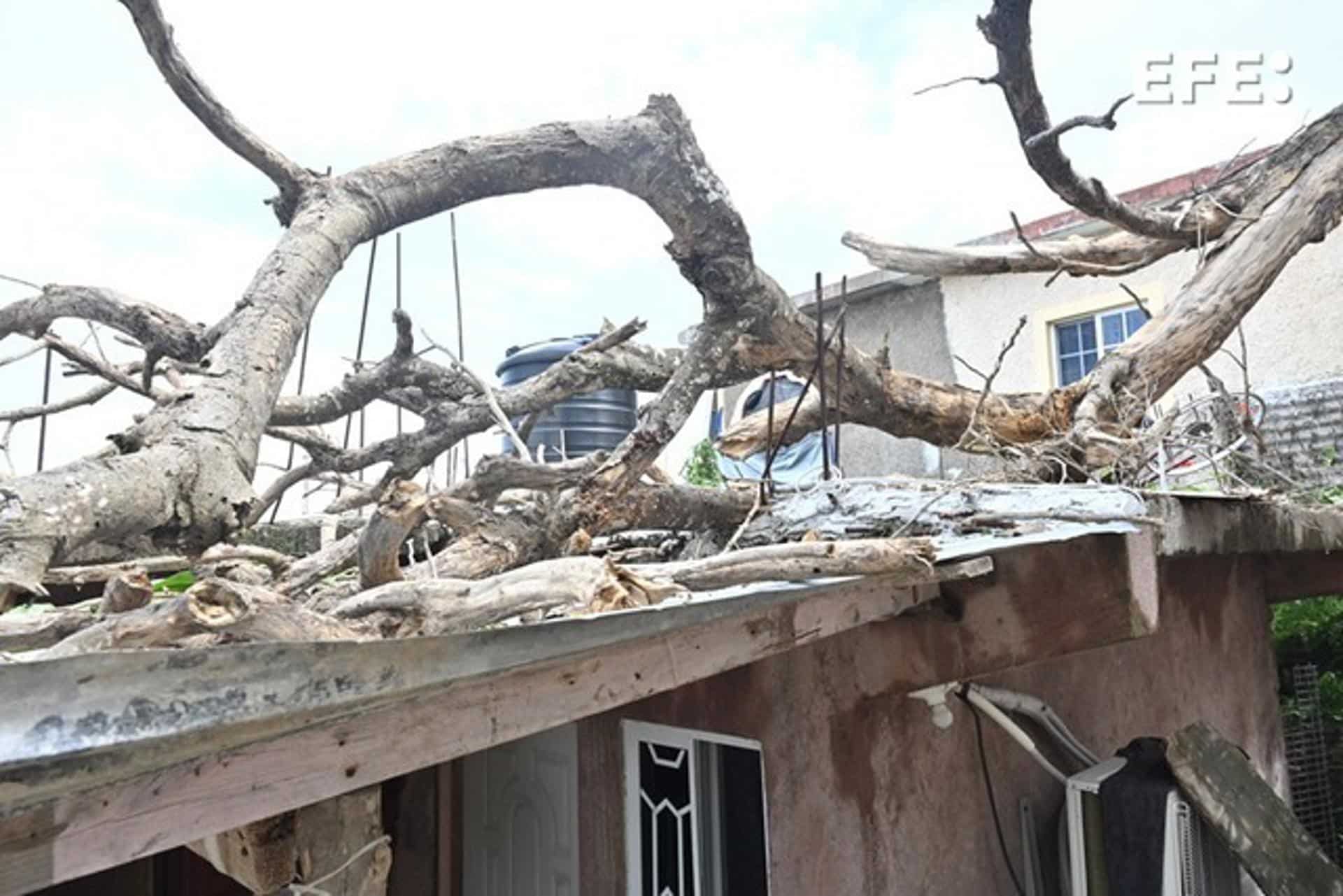 Fotografía de los daños provocados por el paso del huracán Melissa este miércoles, en la Parroquia de Saint Ann (Jamaica). EFE/ Rudolph Brown