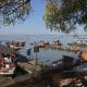 Embarcaciones de apoyo a la causa palestina navegan este sábado en la laguna costera española de la Albufera. EFE/ Kai Forsterling