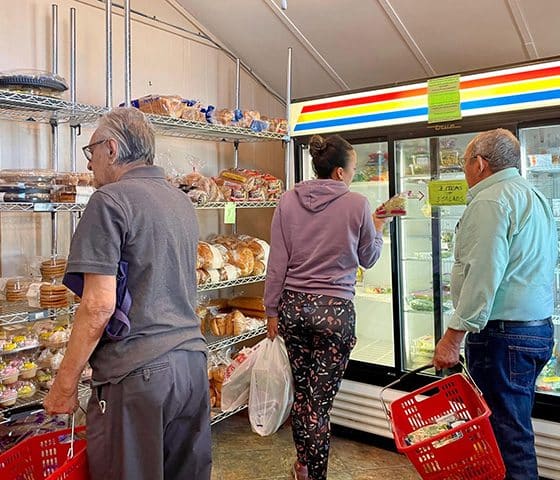 Stein destina casi $18 millones para combatir el hambre