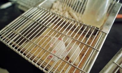 EFE/JOSE PEDROSA/Archivo