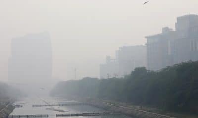 EFE/EPA/HARISH TYAGI