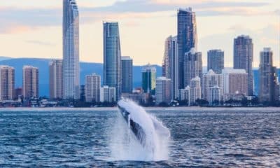Fotografía facilitada por la organización WWF, que advirtió este jueves de que el acelerado deterioro del océano pone en riesgo hasta 7,7 billones de euros de la economía mundial en la próxima década y la seguridad alimentaria.