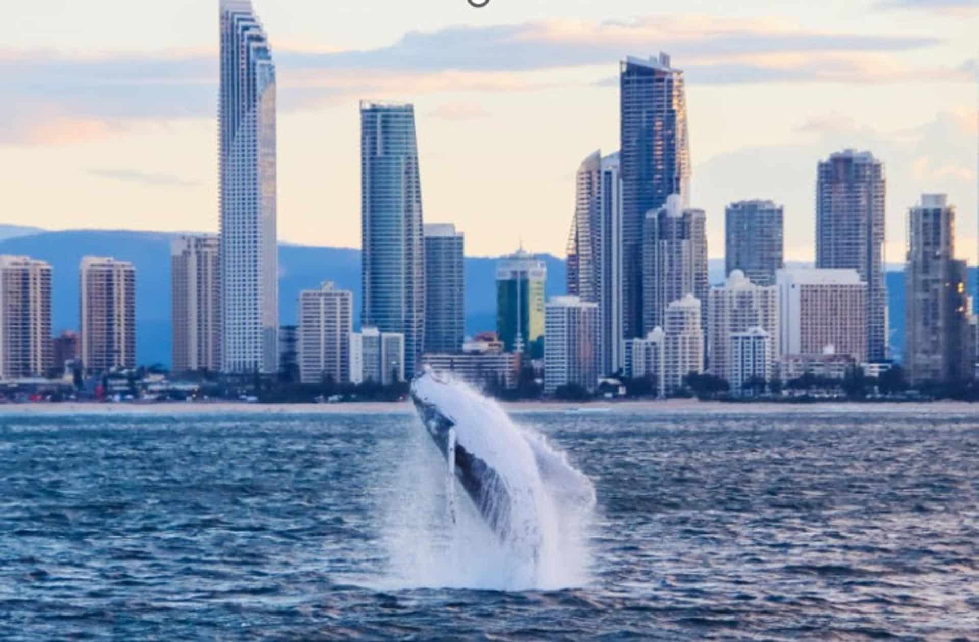 Fotografía facilitada por la organización WWF, que advirtió este jueves de que el acelerado deterioro del océano pone en riesgo hasta 7,7 billones de euros de la economía mundial en la próxima década y la seguridad alimentaria.