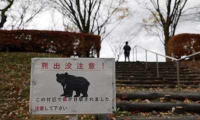 AKITA (Japan), 13/11/2025.- Fotografía de archivo, que muestra un cartel de alerta sobre la posible presencia de osos en Akita, en el noreste de Japón. EFE/EPA/FRANCK ROBICHON