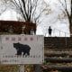 AKITA (Japan), 13/11/2025.- Fotografía de archivo, que muestra un cartel de alerta sobre la posible presencia de osos en Akita, en el noreste de Japón. EFE/EPA/FRANCK ROBICHON