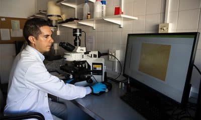 Fotografía facilitada por la Universidad de Málaga de uno de los investigadores del estudio en el que han identificado unos nuevos marcadores en la sangre que reflejan el estado del hipocampo -una zona clave del cerebro para la memoria- lo que abre nuevas vías para la detección temprana del alzhéimer, antes de los primeros síntomas. EFE