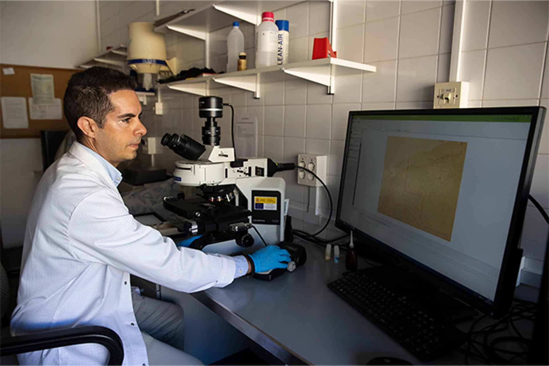 Fotografía facilitada por la Universidad de Málaga de uno de los investigadores del estudio en el que han identificado unos nuevos marcadores en la sangre que reflejan el estado del hipocampo -una zona clave del cerebro para la memoria- lo que abre nuevas vías para la detección temprana del alzhéimer, antes de los primeros síntomas. EFE