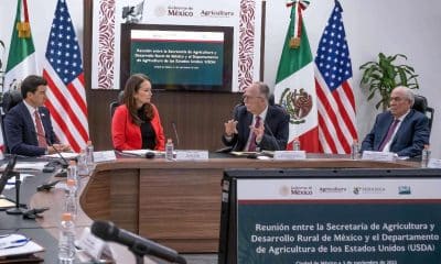 El secretario de Agricultura y Desarrollo Rural, Julio Berdegué, participa durante una rueda de prensa en Palacio Nacional de la Ciudad de México (México). Imagen de archivo. EFE/Mario Guzmán