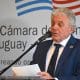El embajador de EEUU en Uruguay, Lou Rinaldi, habla durante un evento organizado por la Cámara de Comercio Uruguay-Estados Unidos este lunes, en Montevideo (Uruguay). EFE/ Federico Gutiérrez.