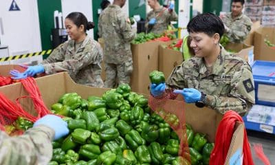 EFE/EPA/ALLISON DINNER