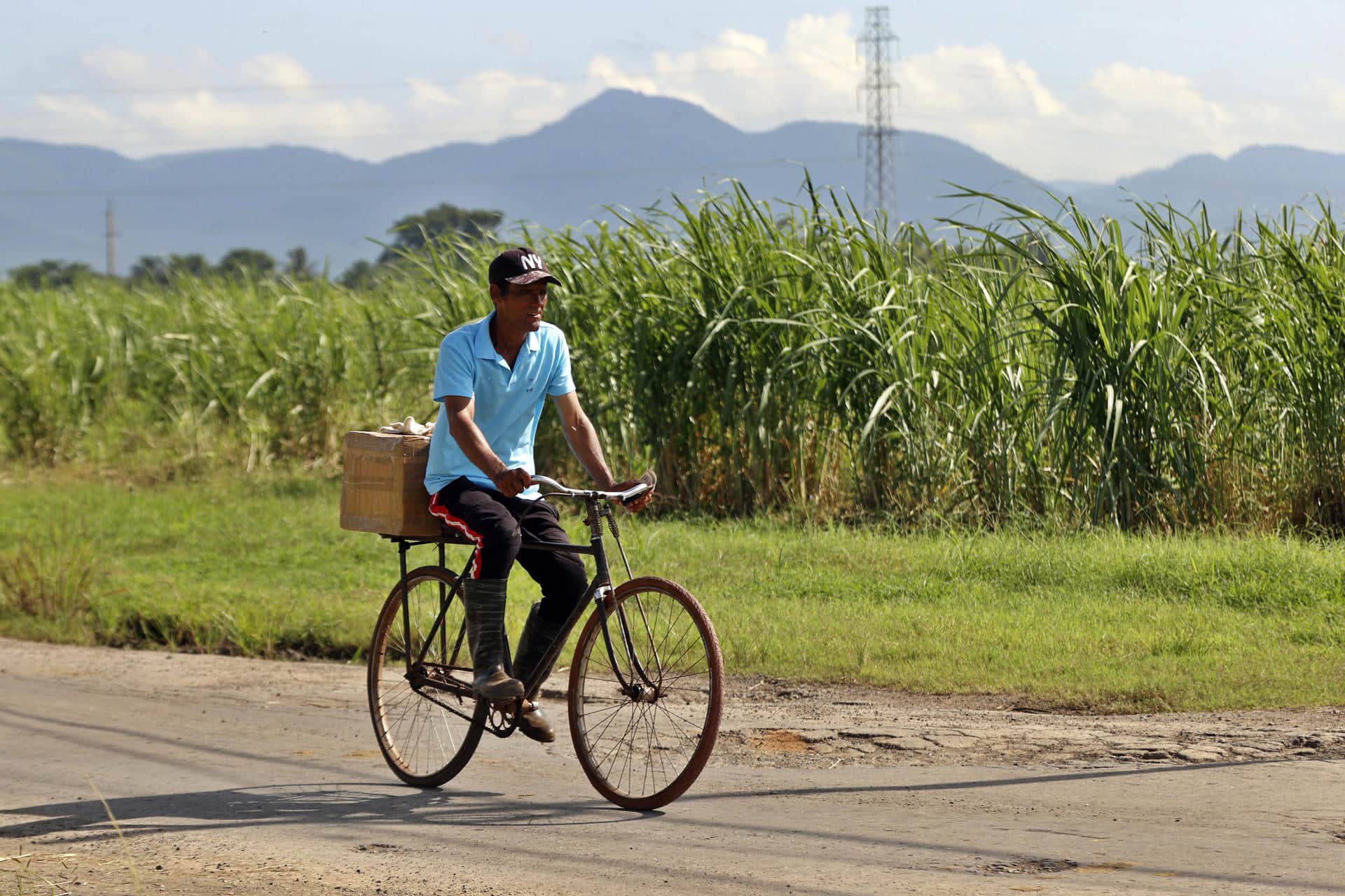 Un hombre en bicicleta pasa junto a una plantación de caña de azúcar. Imagen de archivo. EFE/ Ernesto Mastrascusa