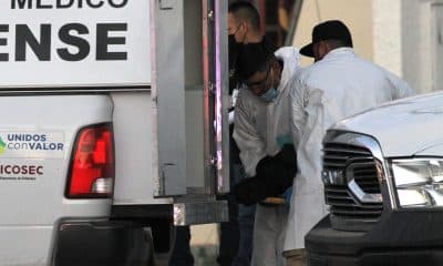 La Iglesia católica de México expresó este domingo su preocupación acerca de la expansión del suicidio entre jóvenes y adultos en el país, donde se han registrado al rededor de 9.000 muertes por esta causa en los últimos años, según un reporte elaborado por el Instituto Nacional de Estadística y Geografía (Inegi) en 2024. Fotografía de archivo.EFE/ Luis Torres