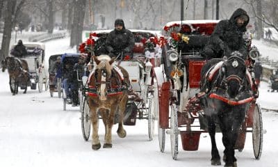 Fotografía de archivo. EFE/EPA/PETER FOLEY