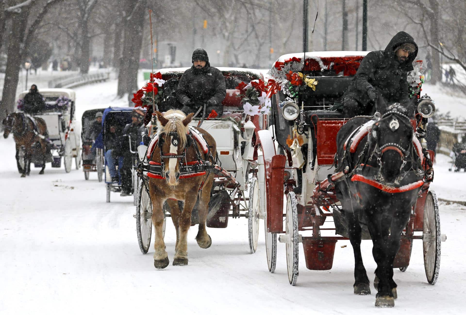 Fotografía de archivo. EFE/EPA/PETER FOLEY