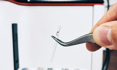 Fotografía cedida por Michael L. Wong de un científico trabajando sobre muestras de una pizarra arcillosa con una edad de 3.510 millones de años procedente del cratón de Singhbhum. EFE/Michael L. Wong /SOLO USO EDITORIAL /NO VENTAS /SOLO DISPONIBLE PARA ILUSTRAR LA NOTICIA QUE ACOMPAÑA /CRÉDITO OBLIGATORIO