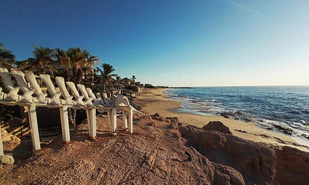 Fotografía de una playa este jueves, en el Mar de Cortés en Los Cabos (México). EFE/ Alfonso Fernández