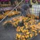 Comerciantes venden flores de cempasúchil con motivo del Día de Muertos este viernes, en el Zócalo de Ciudad de México (México). EFE/Isaac Esquivel