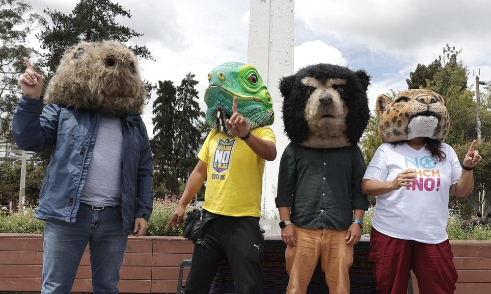 Un grupo de personas con máscaras de animales celebran el triunfo del 'No' este martes, en Quito (Ecuador). EFE/ José Jácome
