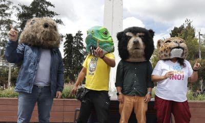 Un grupo de personas con máscaras de animales celebran el triunfo del 'No' este martes, en Quito (Ecuador). EFE/ José Jácome