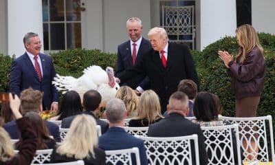 El presidente de Estados Unidos, Donald Trump (2-d), habla en la ceremonia para indultar los pavos de Acción de Gracias este martes, en el jardín de rosas de la Casa Blanca en Washington (Estados Unidos). EFE/ Octavio Guzmán
