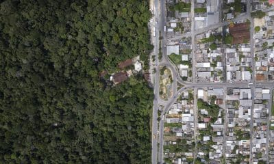 Fotografía archivo tomada con dron del 22 de abril de 2024 que muestra la división entre la selva amazónica y la ciudad frente al Museo Amazonas, en la ciudad de Manaos (Brasil). EFE/ Isaac Fontana ARCHIVO