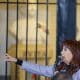 Fotografía de archivo de la expresidenta de Argentina, Cristina Fernández de Kirchner. EFE/ Juan Ignacio Roncoroni